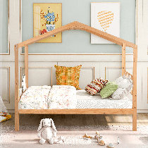 Canopy bed online boy